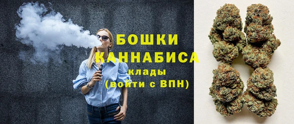 гашиш Богданович