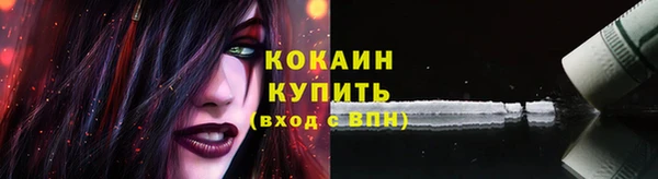 гашиш Богданович