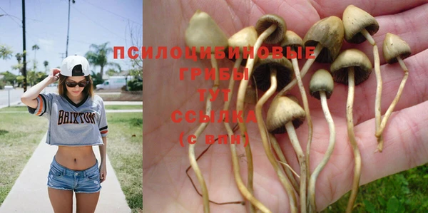 метамфетамин Богородицк